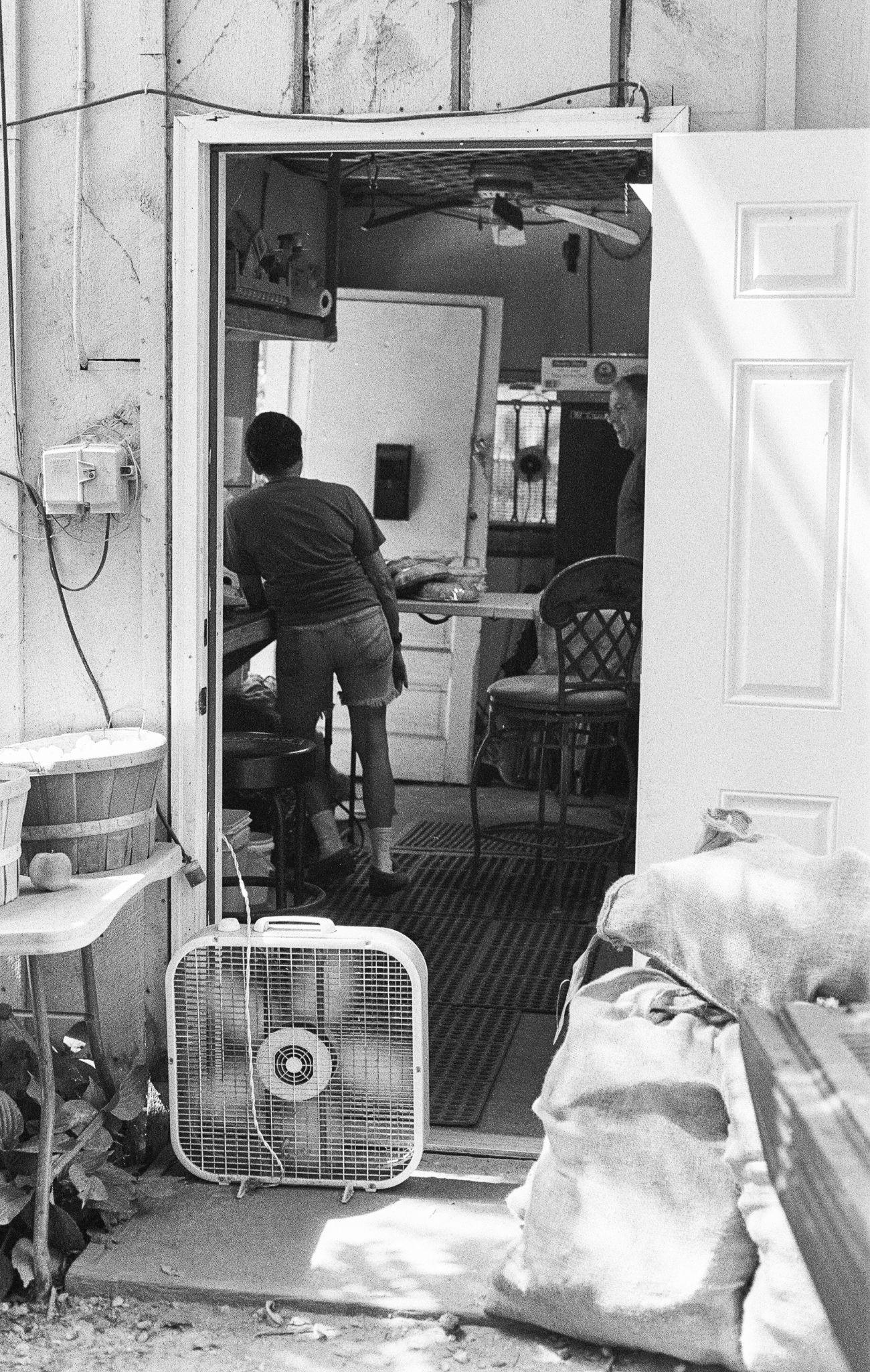 Street Photography 10