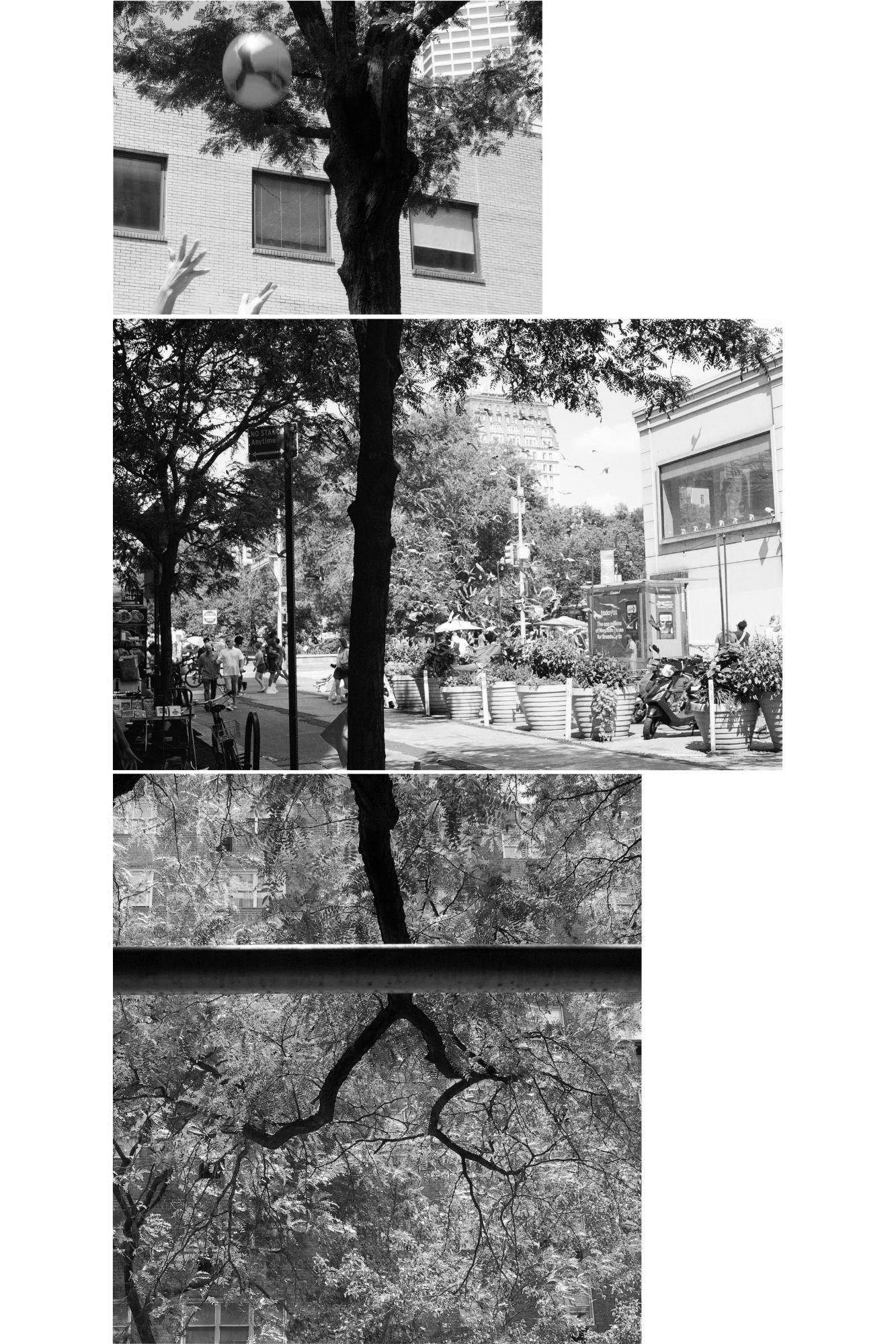 Street Photography 11
